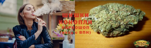 дмт Алзамай