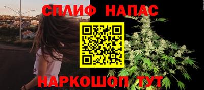 mdpv Беслан