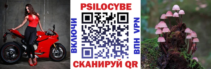 Псилоцибиновые грибы Psilocybine cubensis  наркотики  Калач-на-Дону 